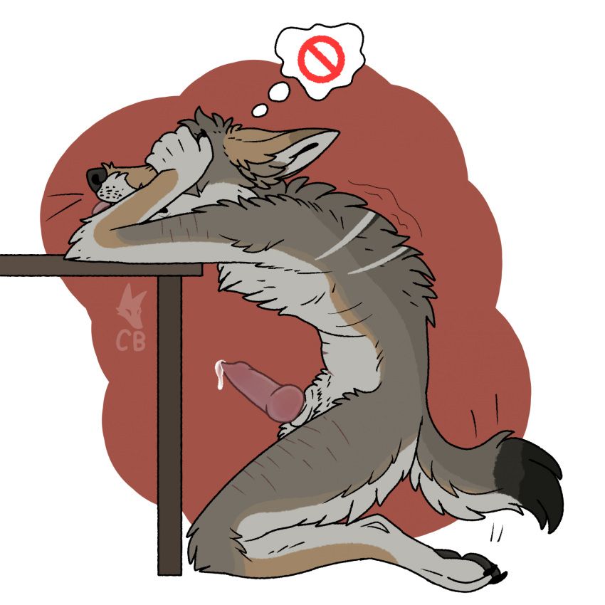 alpha_channel anatomically_correct animal_genitalia anthro black_pawpads blep brown_body brown_fur cackling-beast canid canine canine_genitalia canis colored_line_art covering covering_eyes covering_face coyote daydream_(cackling-beast) ears_back embarrassed fur fur_tuft furniture genitals grey_body grey_fur hi_res kneeling leaning_on_table male mammal muzzle_scabs pawpads pivoted_ears scar simple_background solo solo_focus table tail tail_motion tailwag tan_body tan_fur thought_bubble tongue tongue_out trans_(lore) trans_man_(lore) transparent_background tuft watermark