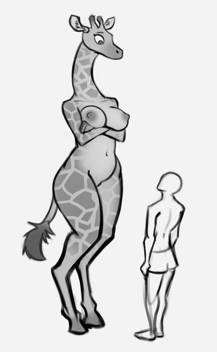 2022 absurd_res anthro areola biped boxers_(clothing) breasts clothed clothing crossed_arms digital_media_(artwork) duo female giraffe giraffid greyscale hi_res hooves horn human inner_ear_fluff mammal monochrome navel nipples nude ossicone schmutzo simple_background size_difference standing tail tail_tuft topless tuft underwear