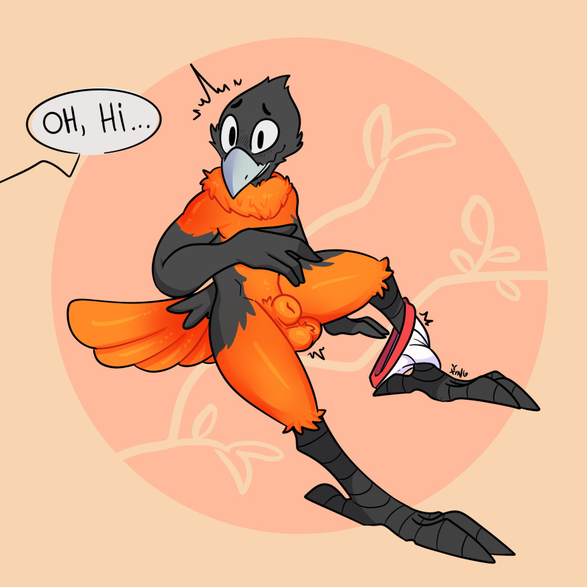 absurd_res animal_genitalia anthro avian balls bird black_body black_feathers black_skin briefs cheek_tuft clothing clothing_around_one_leg dialogue english_text facial_tuft feathers flustered fully_sheathed genitals hi_res male neck_tuft nervous nervous_smile orange_body orange_feathers sheath simple_background smile solo speech_bubble tan_background text the_xing1 tuft underwear underwear_around_one_leg undressing walk-in wide_eyed