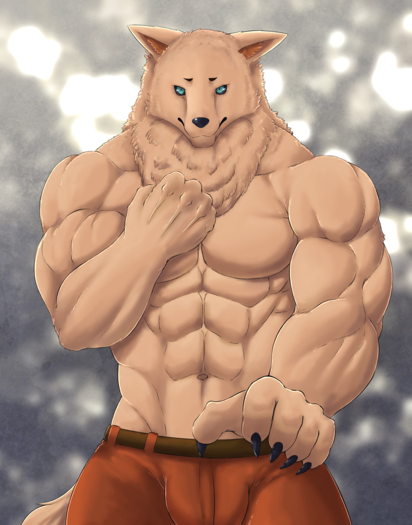 2022 abs anthro biceps biped bottomwear canid canine chest_tuft chibikoma claws clothed clothing digital_drawing_(artwork) digital_media_(artwork) fur hi_res male mammal muscular muscular_anthro muscular_male navel neck_tuft pants pecs solo tan_body tan_fur topless topless_anthro topless_male tuft zinovy