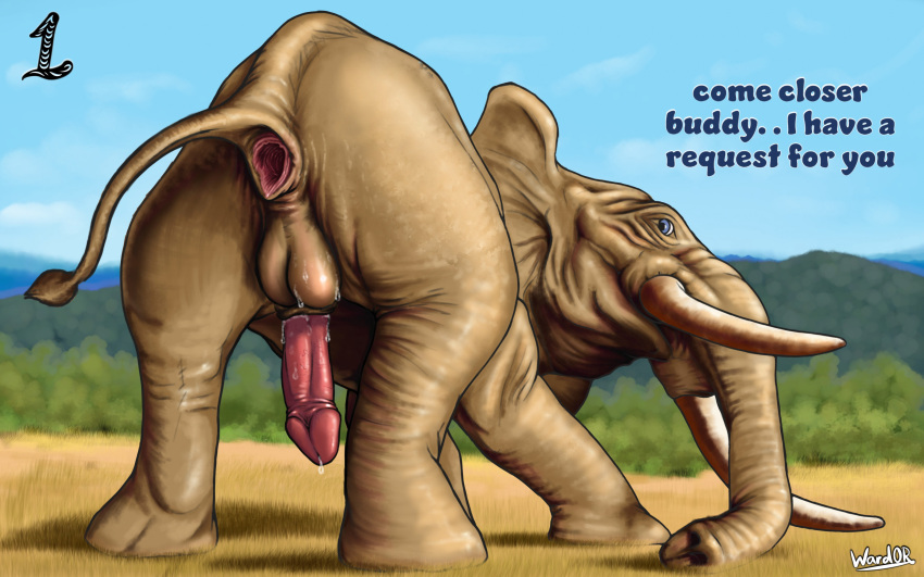 absurd_res animal_genitalia animal_penis anus balls bodily_fluids butt detailed_background dialogue elephant elephantid erection feral genitals hi_res kneeling looking_at_viewer looking_back looking_back_at_viewer male mammal penis proboscidean raised_tail rear_view savanna signature solo tail talking_to_viewer ward0r