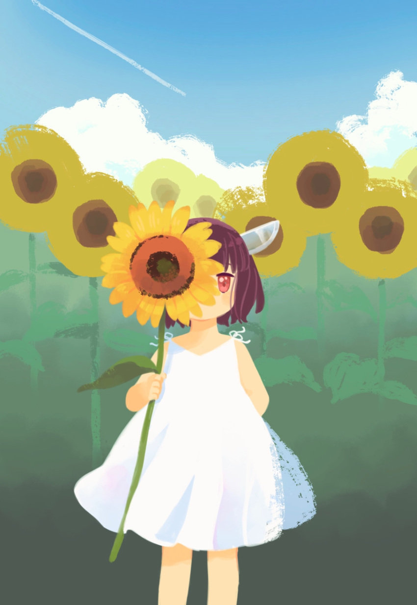 1girl alternate_costume arm_behind_back bangs blade blue_sky blunt_bangs brown_hair cloud contrail covering_face day dress feet_out_of_frame field flower flower_field flower_over_eye hand_up headgear highres holding holding_flower light_blush looking_at_viewer miyuto no_lineart outdoors red_eyes short_hair sky sleeveless sleeveless_dress solo standing summer sundress sunflower touhoku_kiritan voiceroid white_dress wind