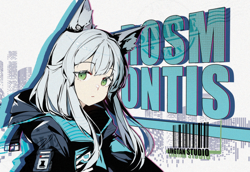 1girl animal_ear_fluff animal_ears arknights bangs barcode black_jacket cat_ears character_name closed_mouth green_eyes grey_background grey_hair hood hood_down hooded_jacket jacket jacknavy long_hair looking_at_viewer rosmontis_(arknights) sample_watermark solo upper_body watermark