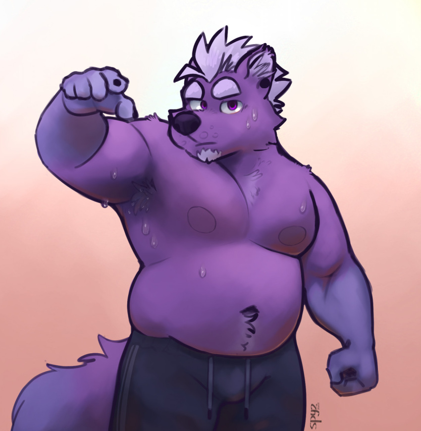 anthro armpit_hair beard belly bodily_fluids body_hair bottomwear canid canine chest_tuft clothing ear_piercing facial_hair fur hair hi_res kodi_(spyzslair) looking_at_viewer love_handles male mammal moobs musclegut navel nipples pants pecs piercing purple_body purple_eyes purple_fur shirtless simple_background slightly_chubby solo spyzslair sweat sweaty_armpit sweaty_face tuft white_hair