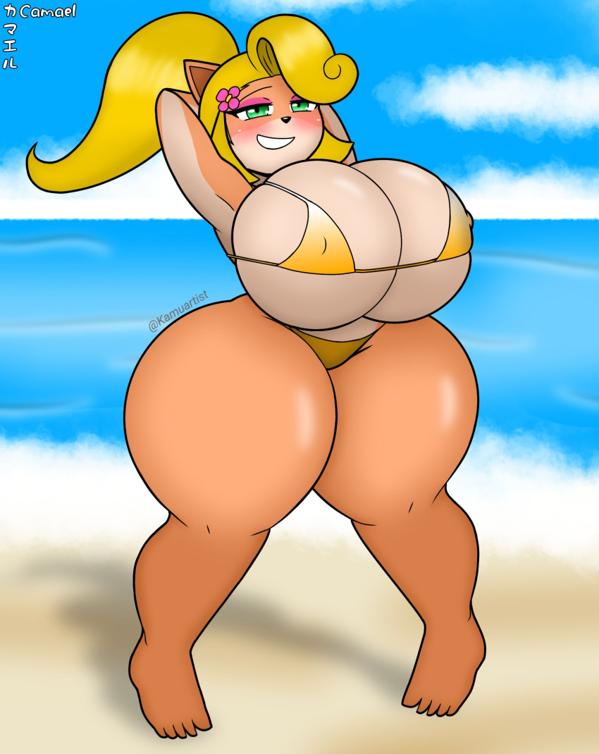 activision anthro bandicoot beach big_breasts bikini blonde_hair blush breasts camael30 clothing coco_bandicoot crash_bandicoot_(series) female green_eyes hair hands_behind_head hi_res huge_breasts huge_hips huge_thighs mammal marsupial multicolored_body nipple_outline seaside smile solo swimwear thick_thighs two_tone_body wide_hips