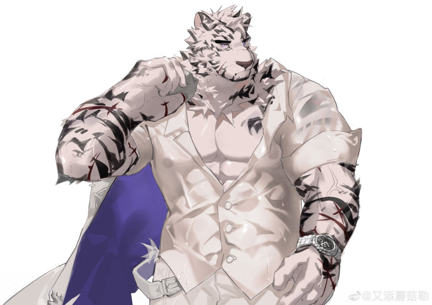 1boy 8da_(29204249) absurdres animal_ears arknights bara bare_pectorals belt blue_eyes collared_shirt covered_abs covered_nipples cowboy_hat facial_hair furry furry_male goatee hat highres holding holding_clothes holding_jacket jacket jacket_over_shoulder jacket_removed large_hands large_pectorals looking_at_viewer male_focus mountain_(arknights) muscular muscular_male open_belt partially_unbuttoned pectorals scar scar_across_eye scar_on_face shirt short_hair sleeves_rolled_up solo thick_eyebrows tiger_boy tiger_ears watch wet wet_clothes wet_hair wet_shirt white_fur white_hair wristwatch