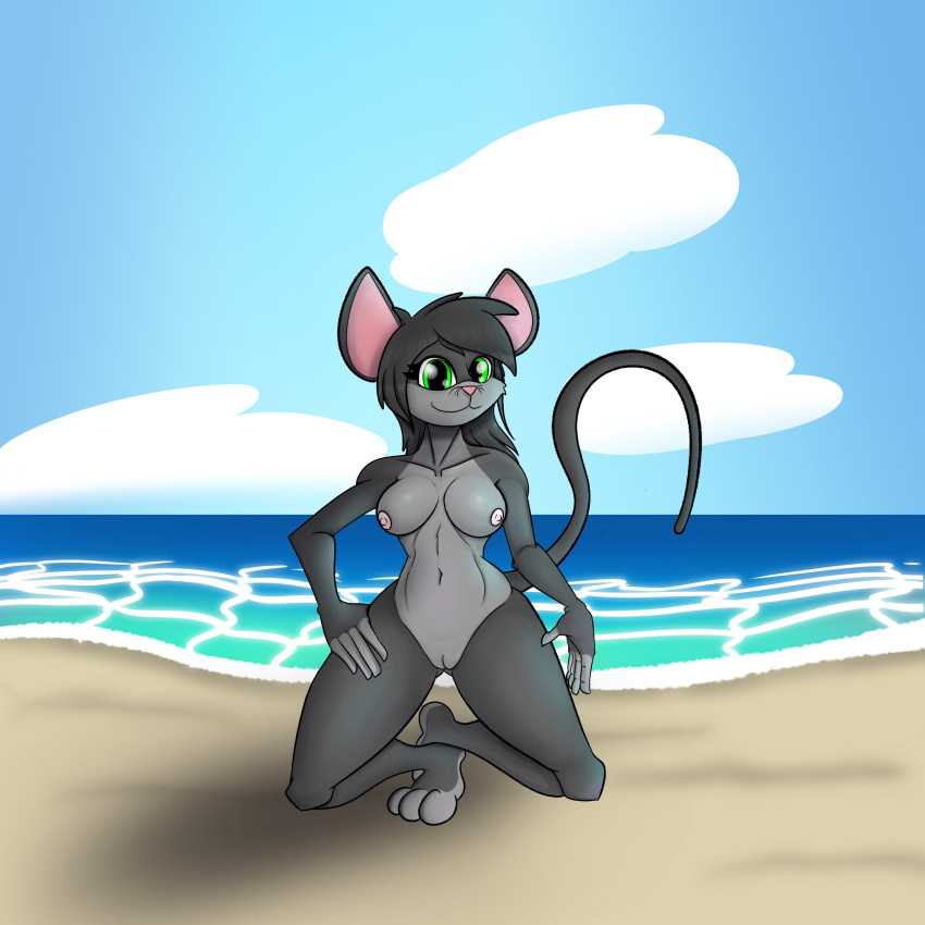 absurd_res anthro areola beach birbpan blue_background breasts cloud domestic_cat eyelashes felid feline felis female fur genitals green_eyes grey_body grey_fur grey_hair hair hand_on_hip hi_res kneeling looking_at_viewer mammal nipples nude pink_areola pink_nipples pussy sea seaside simple_background sky smile solo thick_thighs water wide_hips