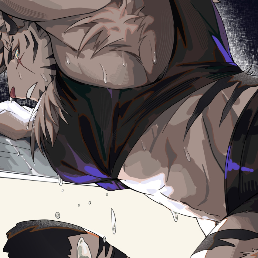 1boy abs animal_ears arknights armpit_hair armpits bara cropped doufujintianxianle from_below furry furry_male highres large_pectorals looking_down male_focus midriff mountain_(arknights) muscular muscular_male parted_lips pectorals scar scar_across_eye scar_on_face shirt short_hair sidepec solo sportswear stomach sweat tail tied_shirt tiger_boy tiger_ears tiger_tail wet wet_clothes wet_shirt white_fur white_hair