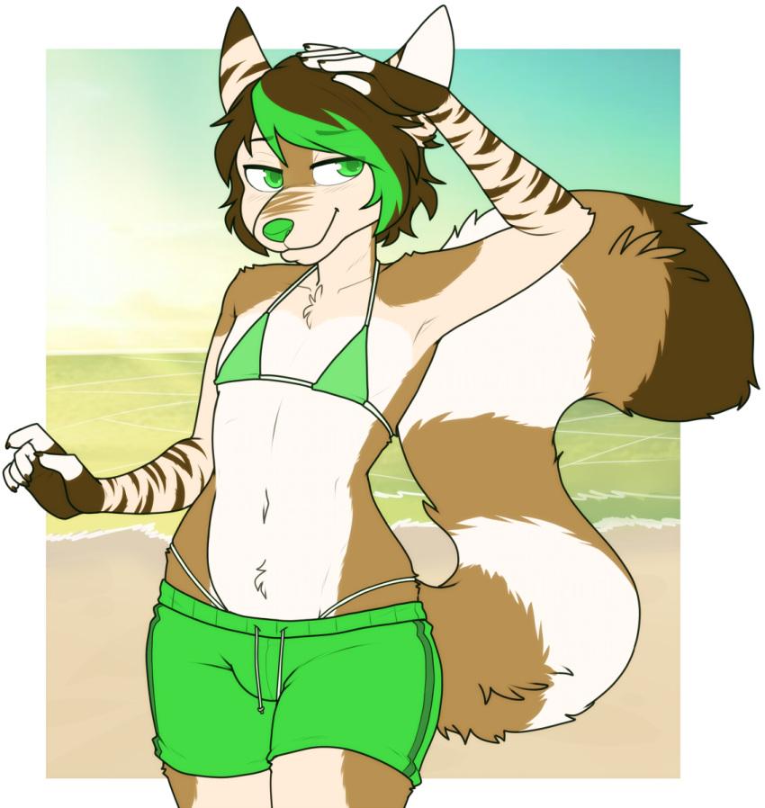 2018 5_fingers alpha_channel anthro beach bikini biped border clothed clothing countershade_fur countershade_torso countershading crossdressing digital_media_(artwork) eyebrow_through_hair eyebrows fingers fur green_bikini green_bikini_top green_clothing green_eyes green_nose green_swimming_trunks green_swimwear hair hi_res kale_tibolt_(s0uthw3st) looking_at_viewer male mammal markings navel outside portrait sand sea seaside sky solo standing striped_markings striped_tail stripes swimming_trunks swimwear tail tail_markings three-quarter_portrait translucent translucent_hair transparent_border water zyira