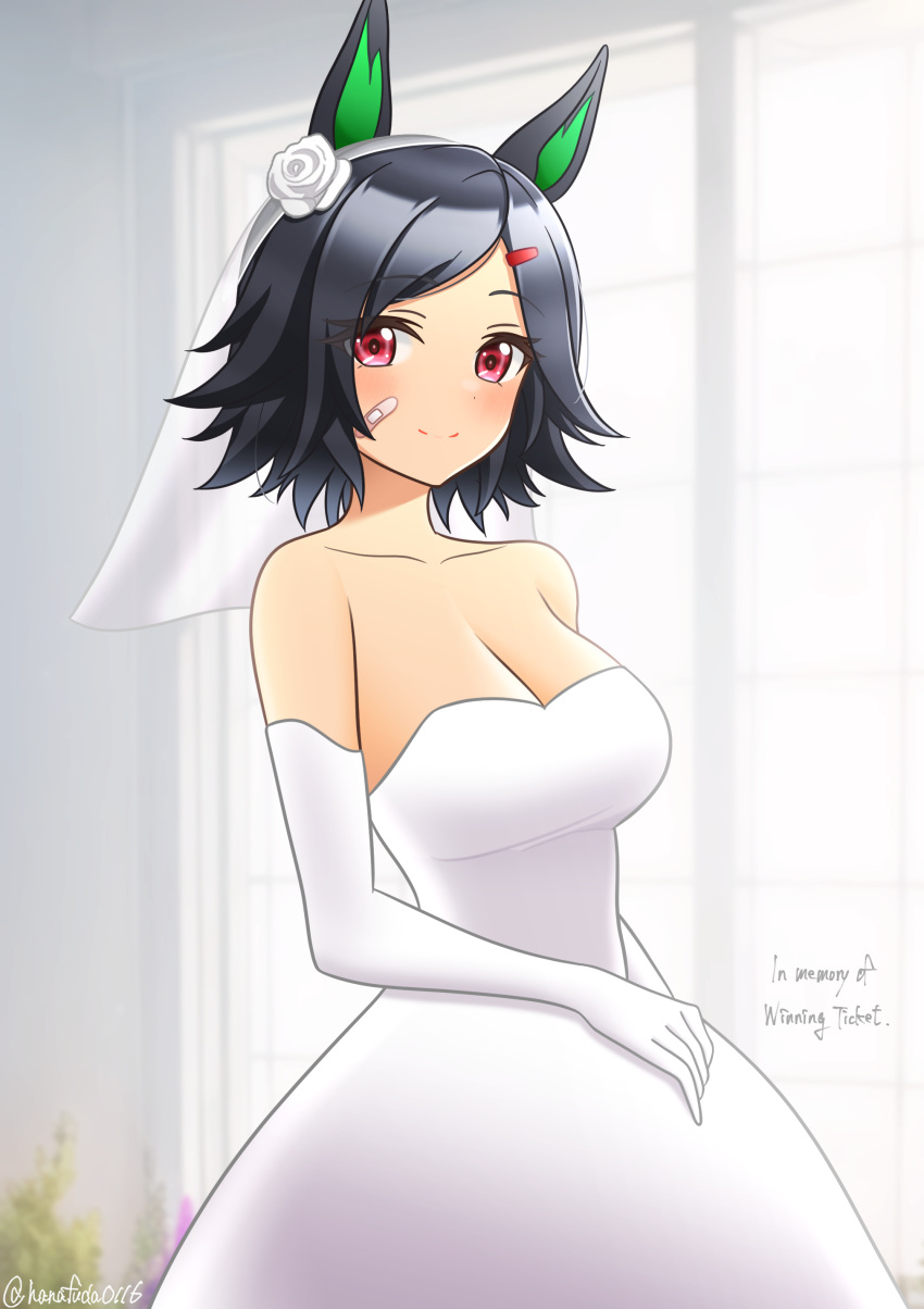 1girl absurdres alternate_costume animal_ears bandaid bandaid_on_cheek bandaid_on_face bare_shoulders black_hair blush breasts bridal_veil cleavage closed_mouth commentary dress elbow_gloves gloves hair_ornament hairclip hanafuda_(hanafuda0116) highres horse_ears horse_girl looking_at_viewer medium_breasts red_eyes short_hair smile solo twitter_username umamusume veil wedding_dress white_dress white_gloves winning_ticket_(umamusume)