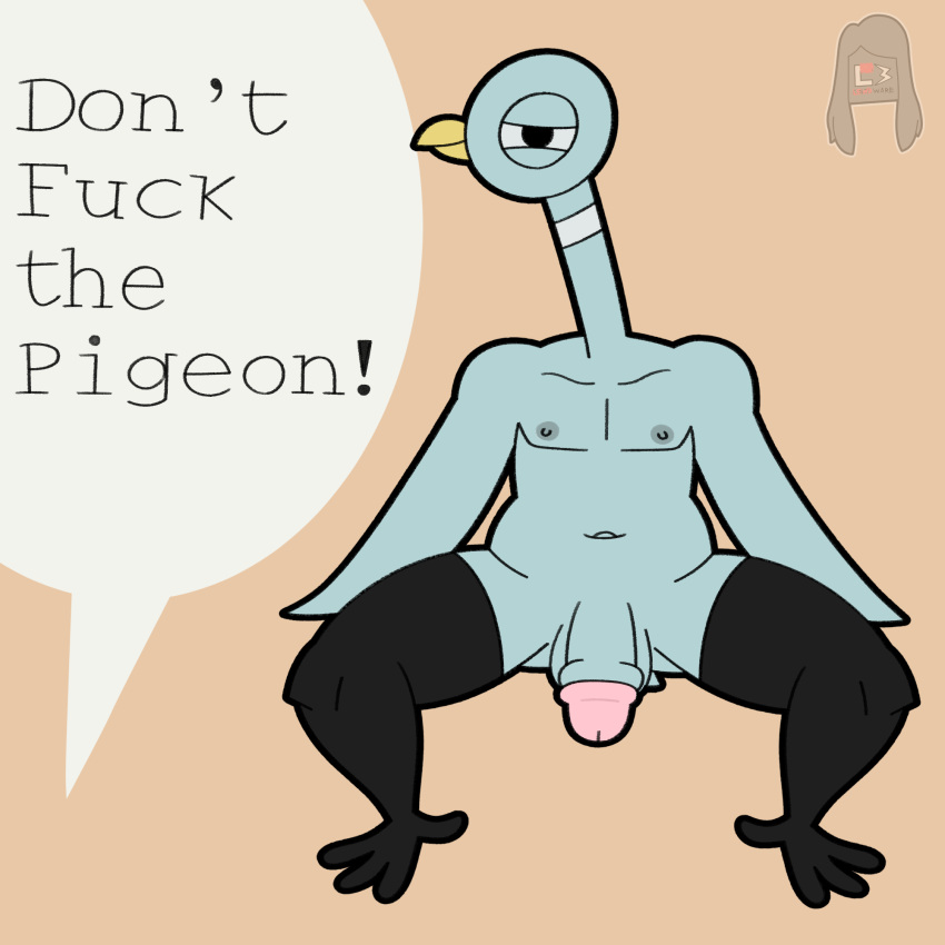 2023 anthro avian balls bird columbid digital_drawing_(artwork) digital_media_(artwork) don't_let_the_pigeon english_text feathers genitals hi_res lewdware looking_at_viewer male nipples nude penis pigeon pigeon_(don't_let_the_pigeon) profanity signature solo tail text wings