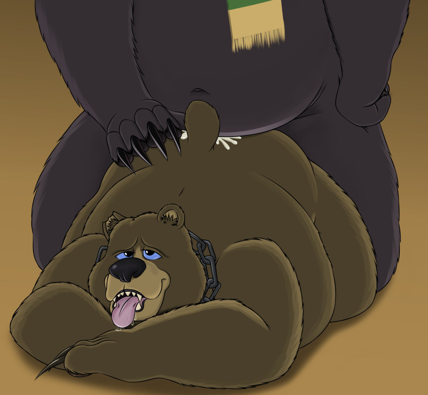 2023 anthro baby_bear_(puss_in_boots) bear belly big_belly brown_body collar duo father father_and_child father_and_son fathyhell hi_res incest_(lore) male male/male mammal overweight overweight_male papa_bear_(puss_in_boots) parent parent_and_child puss_in_boots_(film) puss_in_boots_the_last_wish sex son tongue tongue_out