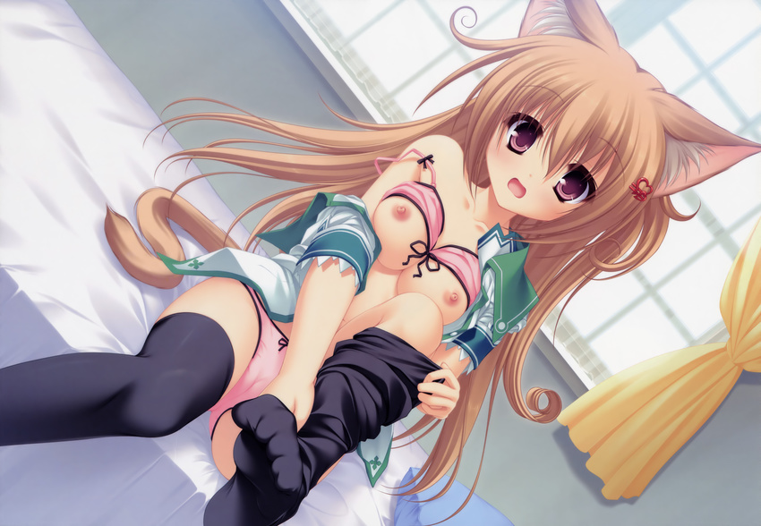 absurdres animal_ears bare_shoulders bed black_legwear bow bow_bra bow_panties bra bra_lift breasts brown_hair cameltoe cat_ears cat_tail collarbone curly_hair dressing dutch_angle feet hair_ornament hairclip highres lingerie long_hair looking_at_viewer medium_breasts mikagami_mamizu neko_koi! nipples off_shoulder on_bed open_clothes open_mouth open_shirt panties pink_bra pink_panties purple_eyes ryuudou_misaki scan shirt sitting solo strap_slip tail tareme thighhighs toe_scrunch underwear undressing