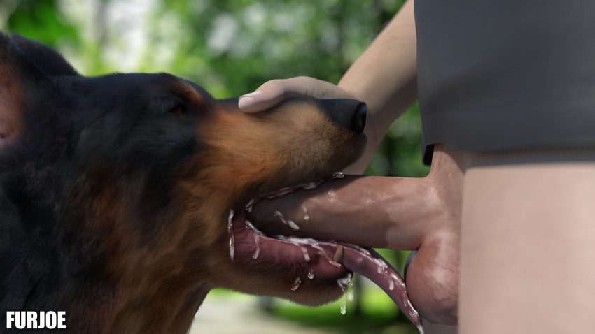 16:9 2019 3d_(artwork) ambiguous_gender bestiality big_penis blender_(disambiguation) canid canine canis cum cum_in_mouth cum_inside cum_on_head cum_on_tongue digital_media_(artwork) doberman domestic_dog duo erection fellatio feral furjoe0 hand_on_head hi_res human human_on_feral human_penetrating_feral humanoid_penis interspecies larger_male licking male male/ambiguous male_on_feral male_penetrating mammal oral penis sex size_difference tongue tongue_out