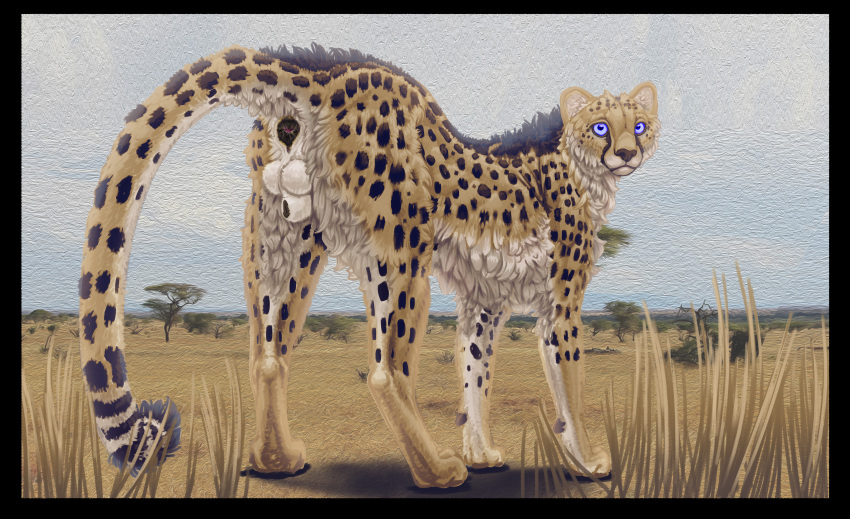 absurd_res animal_genitalia anonymous_artist anus balls black_anus blue_eyes blue_sclera cheetah detailed_background felid feline feral fluffy genitals glowing glowing_eyes hi_res looking_back male mammal savanna sheath solo tahjin