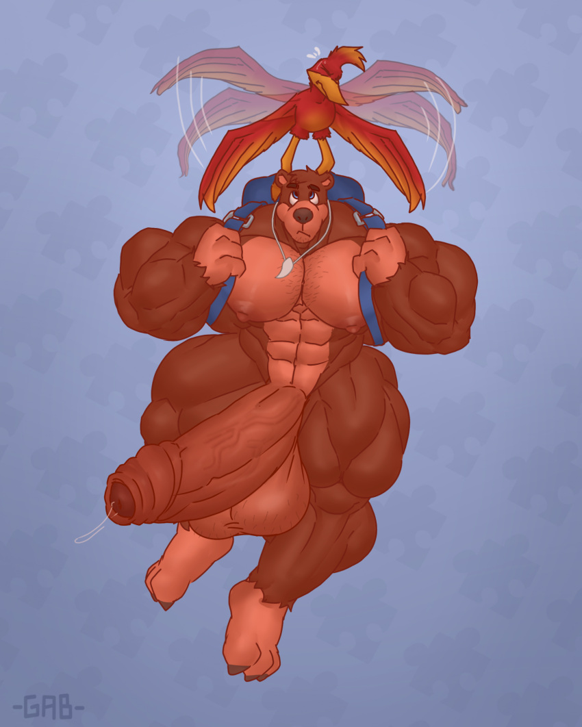 2023 3_toes abs anthro areola avian banjo-kazooie banjo_(banjo-kazooie) bear biceps big_penis biped bird bodily_fluids digital_media_(artwork) feet foreskin gabgbb genital_fluids genitals half-erect hi_res huge_penis hyper hyper_genitalia hyper_penis kazooie looking_up male mammal nipples pecs penis precum quads rareware simple_background solo thick_thighs toes triceps vein veiny_penis wide_hips