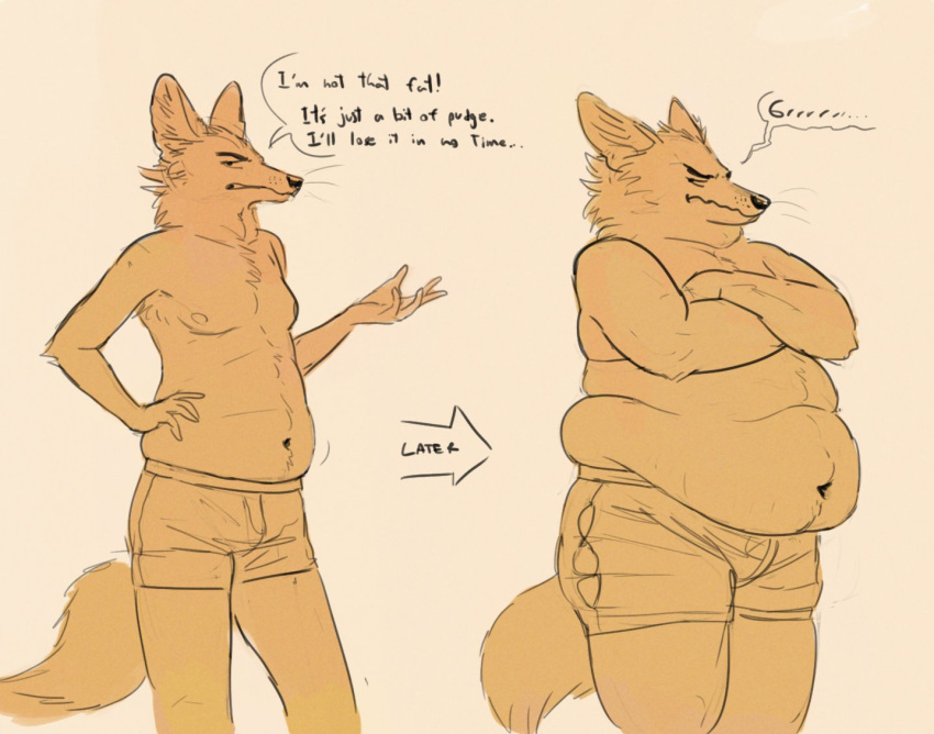 anthro before_and_after belly briefs briefs_only canid canine canis cettus clothed clothing coyote crossed_arms dialogue english_text grumpy hand_on_hip male mammal navel orange_background overweight overweight_anthro overweight_male sequence simple_background slightly_chubby slightly_chubby_anthro slightly_chubby_male solo speech_bubble standing text topless torn_clothing torn_underwear underwear underwear_only weight_gain