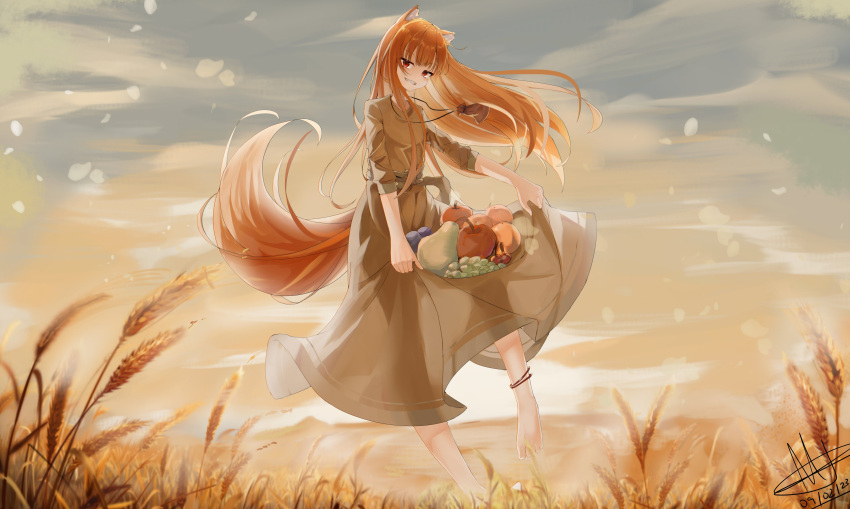 1girl absurdres animal_ears anklet apple barefoot brown_dress brown_hair dated dress evening floating_hair food fruit grapes grey_sky grin highres holo jewelry lichael7 long_hair looking_at_viewer necklace outdoors parted_lips red_eyes signature smile solo spice_and_wolf tail wheat wheat_field wolf_ears wolf_girl wolf_tail