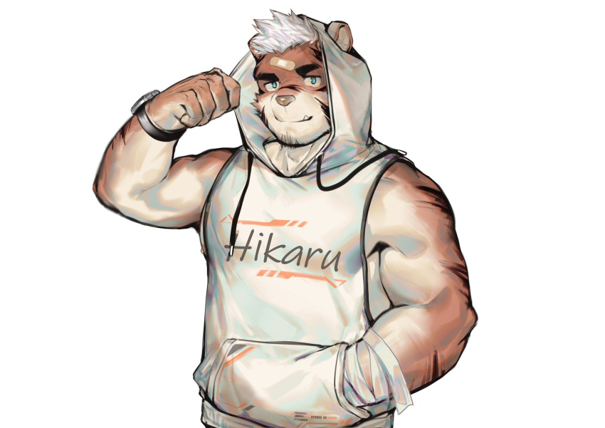 1boy animal_ears bandaged_arm bandages bandaid bandaid_on_face bandaid_on_forehead bara bare_arms blue_eyes facial_hair fang fang_out goatee highres hood hood_up hoodie laserbiubiu male_focus muscular muscular_male original pectorals short_hair sidepec sleeveless sleeveless_hoodie smile solo thick_eyebrows tiger_boy tiger_ears upper_body watch white_hair white_hoodie wristwatch