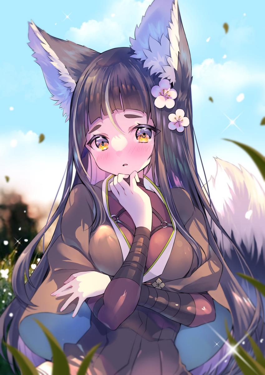 07touka25 1girl absurdres animal_ears arm_under_breasts arm_wrap bangs black_dress black_hair blunt_bangs blush capelet dress facing_viewer flower fox_ears fox_tail grass hair_flower hair_ornament hand_on_own_chest highres kitsunegasaki_tametsugu_(tenka_hyakken) long_hair looking_at_viewer outdoors parted_lips raised_eyebrows sky tail tenka_hyakken yellow_eyes