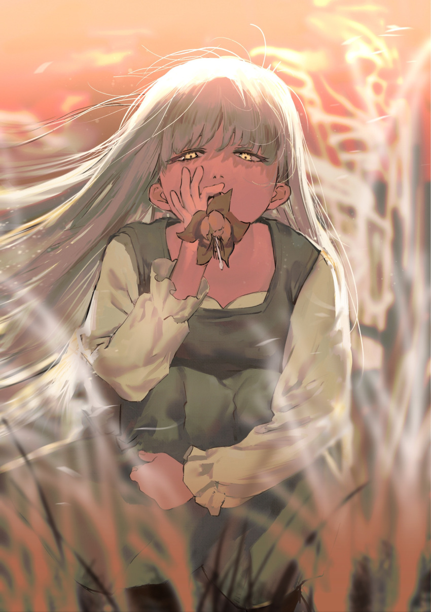 1girl absurdres aged_down bangs child czzsghdf dress dungeon_meshi eating_flower falin_thorden female_child flower flower_in_mouth full_body grass grey_hair hand_up highres holding holding_flower hugging_own_legs long_hair long_sleeves looking_at_viewer motion_blur outdoors pinafore_dress shirt sky solo squatting twilight very_long_hair white_shirt yellow_eyes