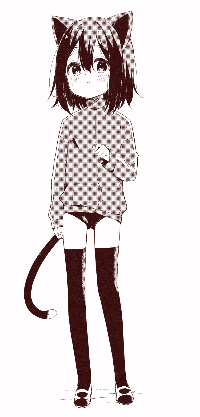 1girl absurdres animal_ears bangs blush buruma cat_ears cat_girl cat_tail full_body hair_between_eyes highres jacket long_sleeves looking_at_viewer meito_(maze) monochrome original parted_lips shoes simple_background sleeves_past_wrists solo standing tail thighhighs track_jacket uwabaki white_background