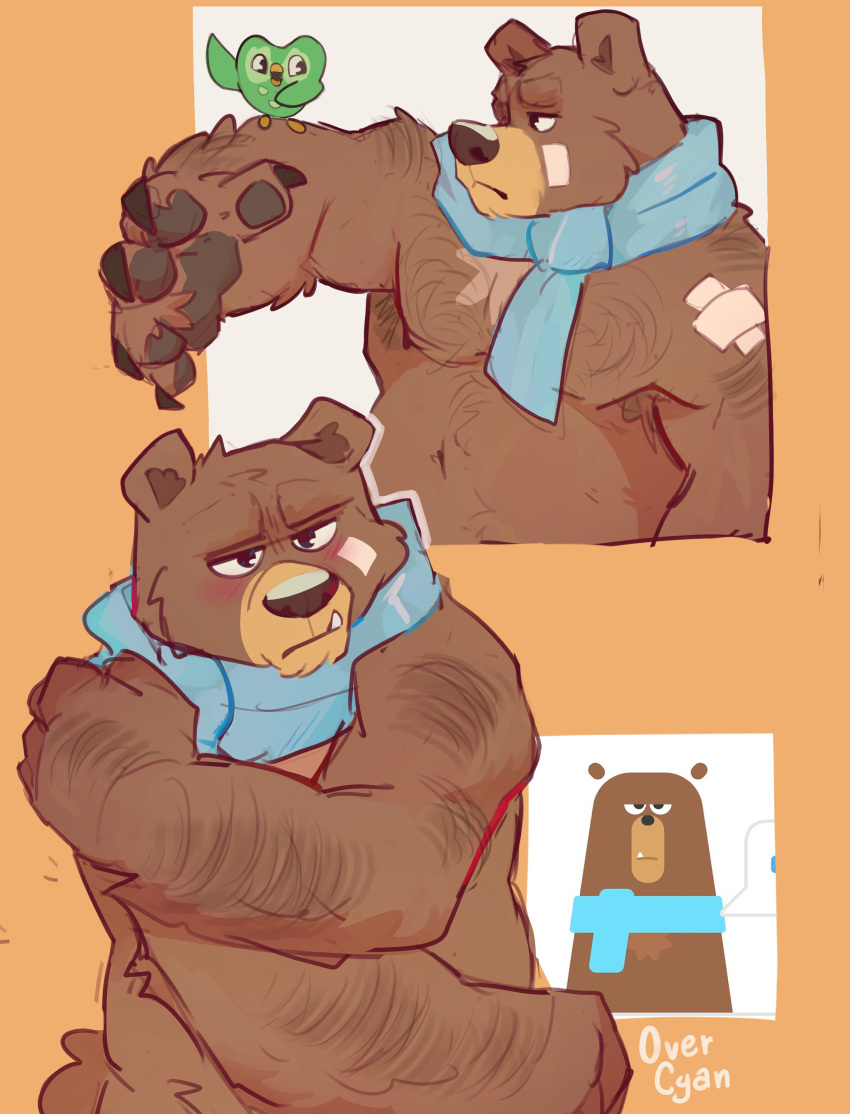 2023 absurd_res anthro avian bandage bandage_on_face bear bird blue_scarf blush body_hair brown_body brown_fur chest_hair croatian_description duo duo_(duolingo) duolingo falstaff_(duolingo) frown fur green_body hairy_arms half-closed_eyes hi_res male mammal mascot narrowed_eyes overcyan owl pawpads raised_arm reference_image scarf simple_background slightly_chubby snaggle_tooth