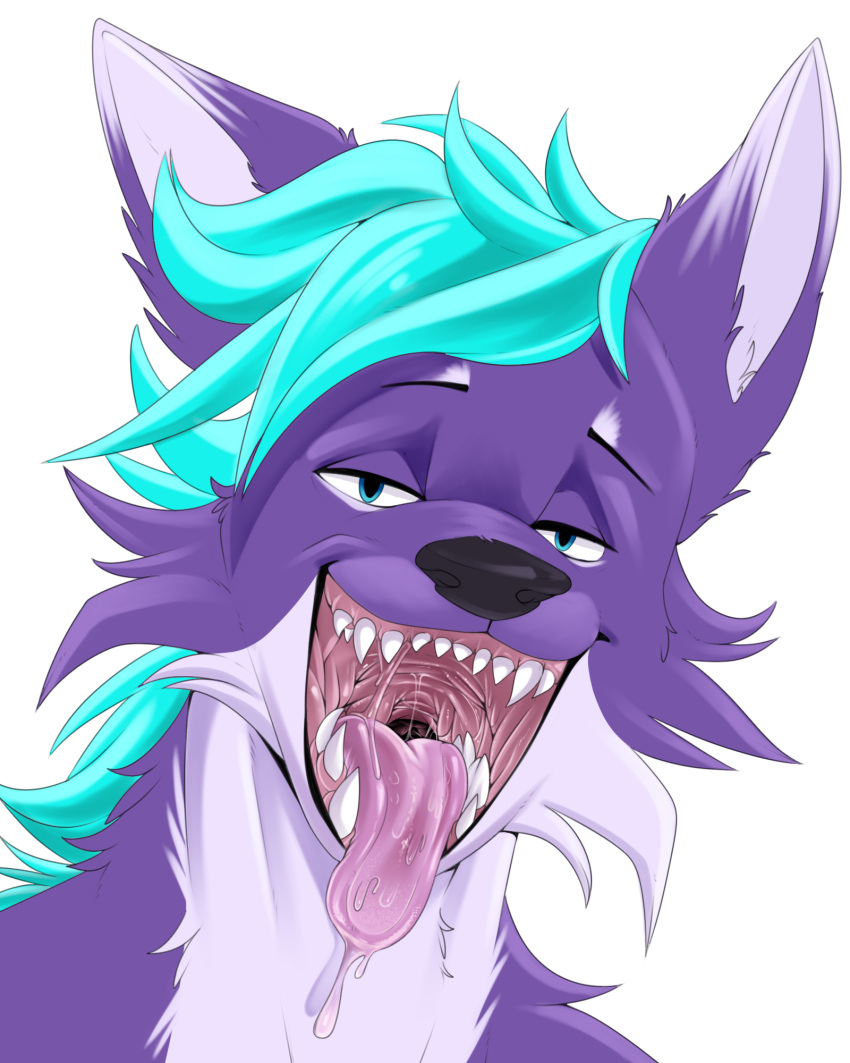 alpha_channel anthro black_nose bodily_fluids canid canine drooling fangs fox fur half-closed_eyes hi_res kelova looking_at_viewer male mammal mouth_shot mox_(antillion123) narrowed_eyes open_mouth purple_body purple_fur saliva saliva_string simple_background solo teeth tongue tongue_out transparent_background