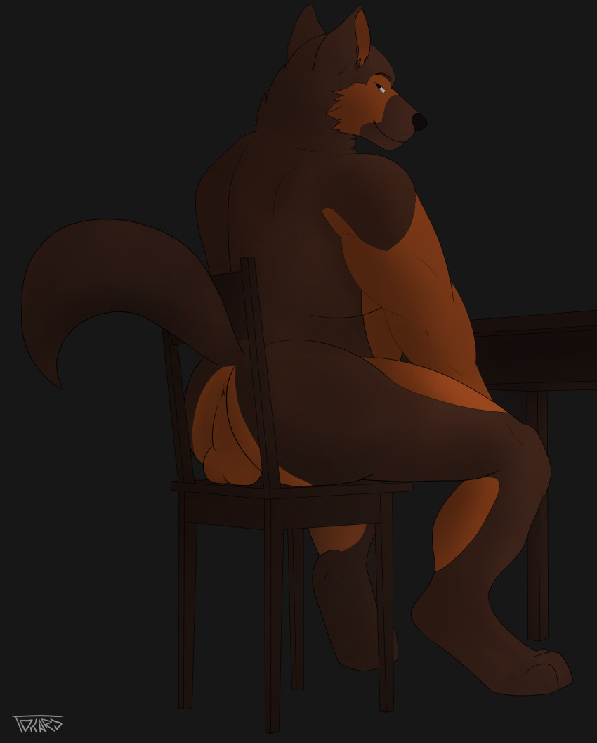 absurd_res anthro backsack balls belly big_balls big_belly bracks brown_body brown_fur butt canid canine canis chair domestic_dog fur furniture genitals hi_res looking_at_viewer male mammal mature_male molosser musclegut muscular nude orange_balls orange_body orange_fur overweight overweight_male perineum rear_view sitting smile smirk smirking_at_viewer solo table tokard