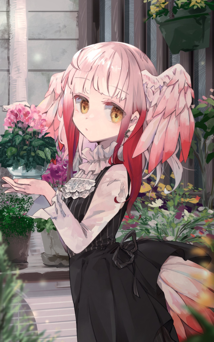 1girl alternate_costume back_bow bangs bird_girl bird_tail bird_wings black_dress blush bouquet bow casual collar commentary_request dress earrings flower frilled_collar frilled_sleeves frills head_wings highres holding holding_bouquet japanese_crested_ibis_(kemono_friends) jewelry kemono_friends long_sleeves looking_at_viewer multicolored_hair nail_polish nanana_(nanana_iz) pink_nails red_hair shirt short_hair sidelocks solo tail white_hair white_shirt wings yellow_eyes