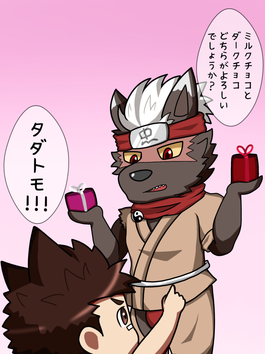 anthro asian_clothing bandaid_protagonist_(tas) brown_body brown_fur candy canid canine canis chibi chocolate clothing dessert domestic_dog dragokaizer666 duo east_asian_clothing food fur hair hi_res holidays human japanese_clothing japanese_text male male/male mammal romantic romantic_couple tadatomo text valentine's_day white_hair