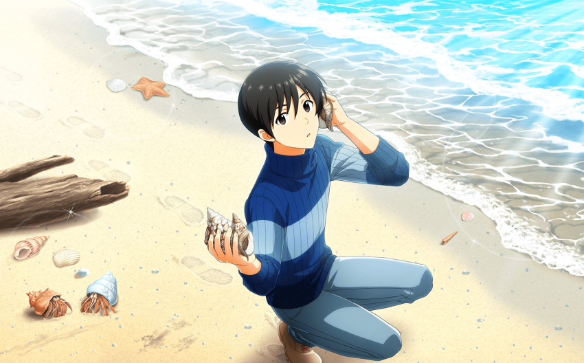 1boy beach black_eyes black_hair blue_sweater crab footprints fuyumi_jun highres holding holding_shell idolmaster idolmaster_side-m idolmaster_side-m_live_on_stage! official_art pants sand seashell shell shoes shore starfish sweater