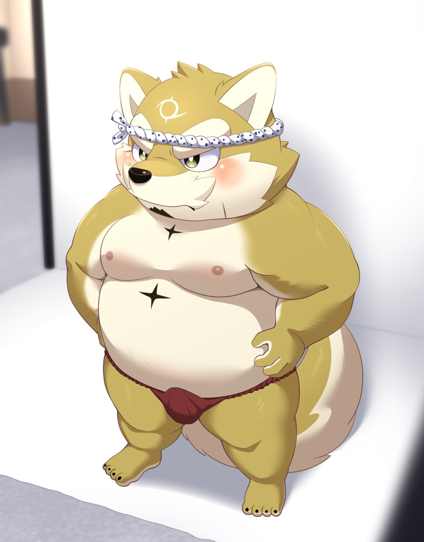 2023 anthro asian_clothing belly blush bulge canid canine canis clothing domestic_dog east_asian_clothing fundoshi hi_res hisashiyo_0705 japanese_clothing kemono lifewonders live_a_hero male mammal moobs nipples overweight overweight_male procy red_clothing red_fundoshi red_underwear solo underwear