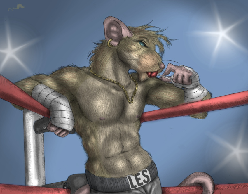 blue_eyes camera_flash candy dessert ear_piercing ear_ring fighting_ring food jewelry lollipop male mammal murid murine muscular muscular_male necklace piercing rat ring_piercing rodent shirtless taped_hands whimsicalsquirrel wrestler