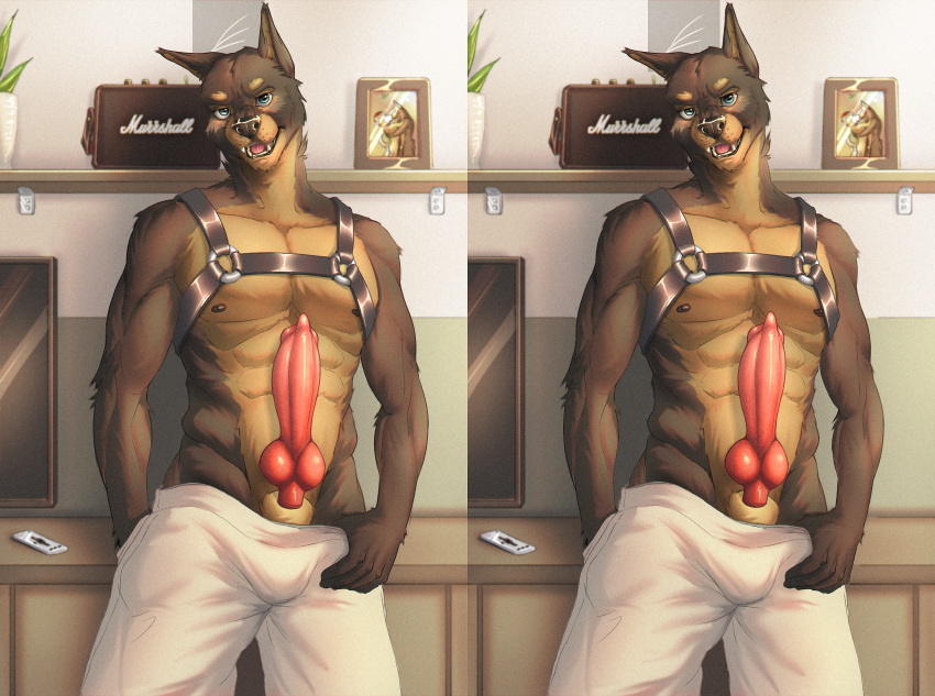 abs absurd_res animal_genitalia animal_penis anthro athletic bonelesswolf bottomwear brand_parody bulge canid canine canine_genitalia canine_penis canis clothing cross_eye_stereogram dobermann domestic_dog erection genitals harness head_tilt hi_res huge_filesize inside knot leather leather_harness looking_at_viewer male mammal muscular nipples pants penis picture_frame pinscher plant_pot pulling_pants_down sheath shelf side_by_side_stereogram smile smiling_at_viewer smirk smirking_at_viewer solo speaker stereogram teeth teeth_showing teeth_visible television television_remote