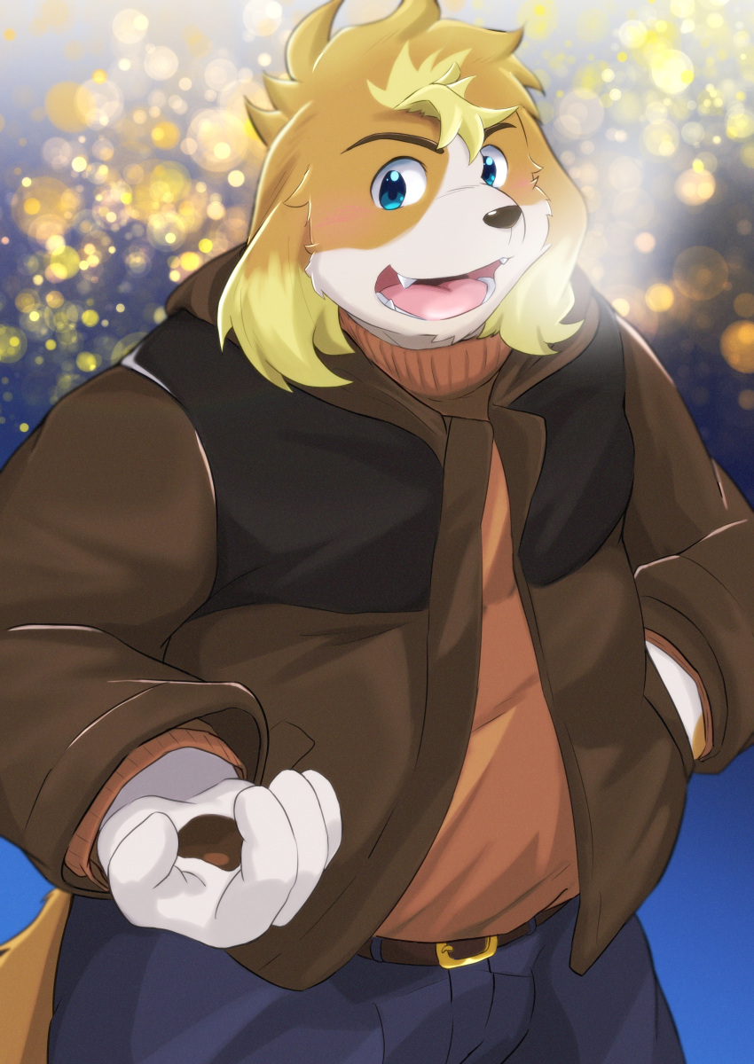 2023 absurd_res anthro blush bottomwear canid canine canis clothing domestic_dog hi_res hisaki_(live_a_hero) humanoid_hands kemono lifewonders live_a_hero male mammal nazebesu_hobby overweight overweight_male pants solo sweater topwear