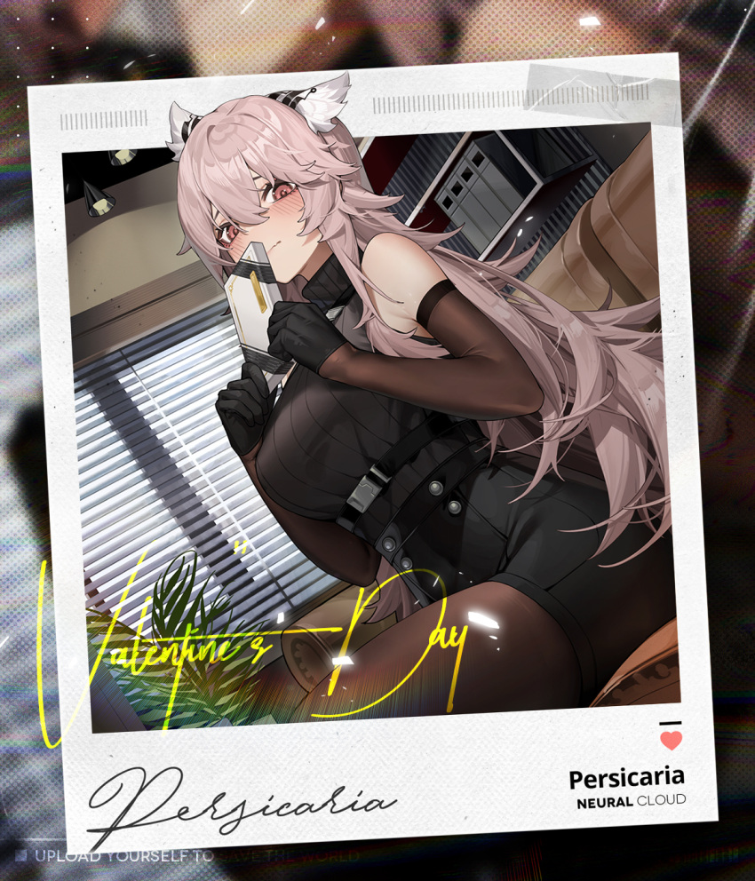 1girl animal_ears artist_request bare_shoulders black_skirt blinds blush box character_name copyright_name couch covering_mouth cowboy_shot dutch_angle elbow_gloves gift gift_box girls'_frontline girls'_frontline_neural_cloud gloves hair_between_eyes highres holding holding_gift indoors long_hair looking_at_viewer official_art on_couch pantyhose persicaria_(girls'_frontline_nc) pink_eyes pink_hair polaroid ribbed_shirt shirt sitting skirt sleeveless sleeveless_shirt solo valentine
