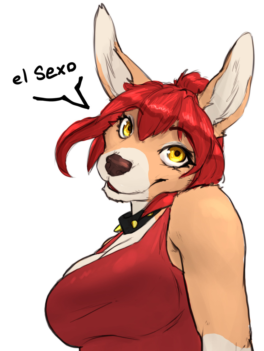 2023 absurd_res anthro breasts canid canine canis clothed clothing collar digital_media_(artwork) domestic_dog female fur hair heiko_(domasarts) hi_res looking_at_viewer mammal mischadot red_hair simple_background solo spiked_collar spikes white_background yellow_eyes