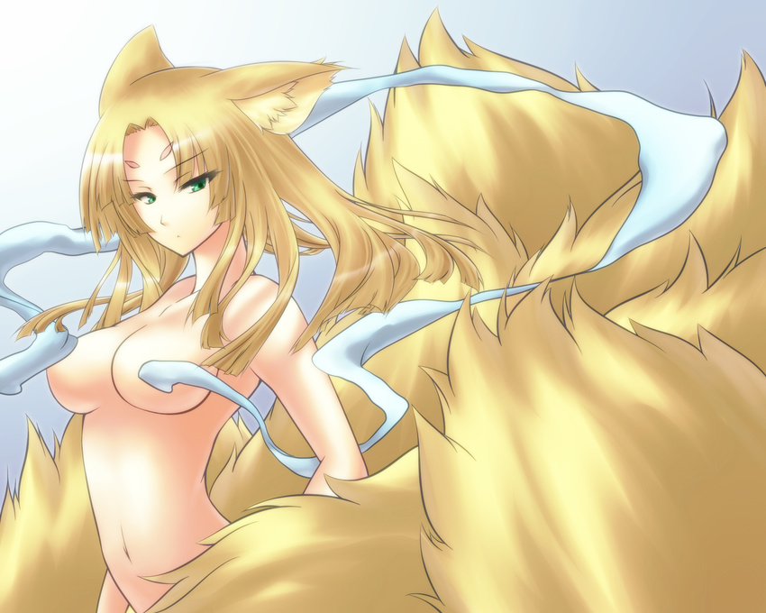 :&lt; animal_ears blonde_hair censored convenient_censoring fox_ears fox_tail garuku green_eyes highres nude omachi rance_(series) sengoku_rance solo tail