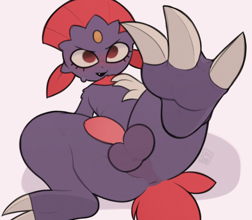 3_claws 3_toes anthro anus balls blush butt claws erection feet foot_focus fur generation_4_pokemon genitals grey_body grey_fur hair hi_res looking_at_viewer lying male nintendo on_back penis pokemon pokemon_(species) red_hair sharkysocks solo toe_claws toes weavile