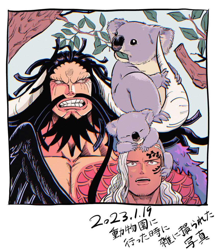 2023 2boys angry animal_on_head asymmetrical_hair beard black_hair black_wings chest_tattoo facial_hair facial_tattoo fur_coat highres horns kaidou_(one_piece) king_(one_piece) koala leaf long_hair multiple_boys mustache on_head one_piece open_mouth sweatdrop tattoo teeth topless_male tree white_hair wings wrinkled_skin zht_2k