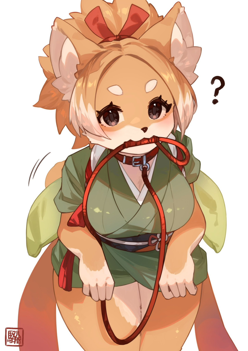 2023 anthro asian_clothing blush breasts canid canine canis clothed clothing collar digital_media_(artwork) domestic_dog east_asian_clothing female female_anthro fur hair hi_res japanese_clothing kawarage_yatano kemono leash looking_at_viewer mammal mouth_hold multicolored_body multicolored_fur multicolored_hair question_mark shiba_inu simple_background solo spitz translated_description two_tone_body two_tone_fur two_tone_hair white_background