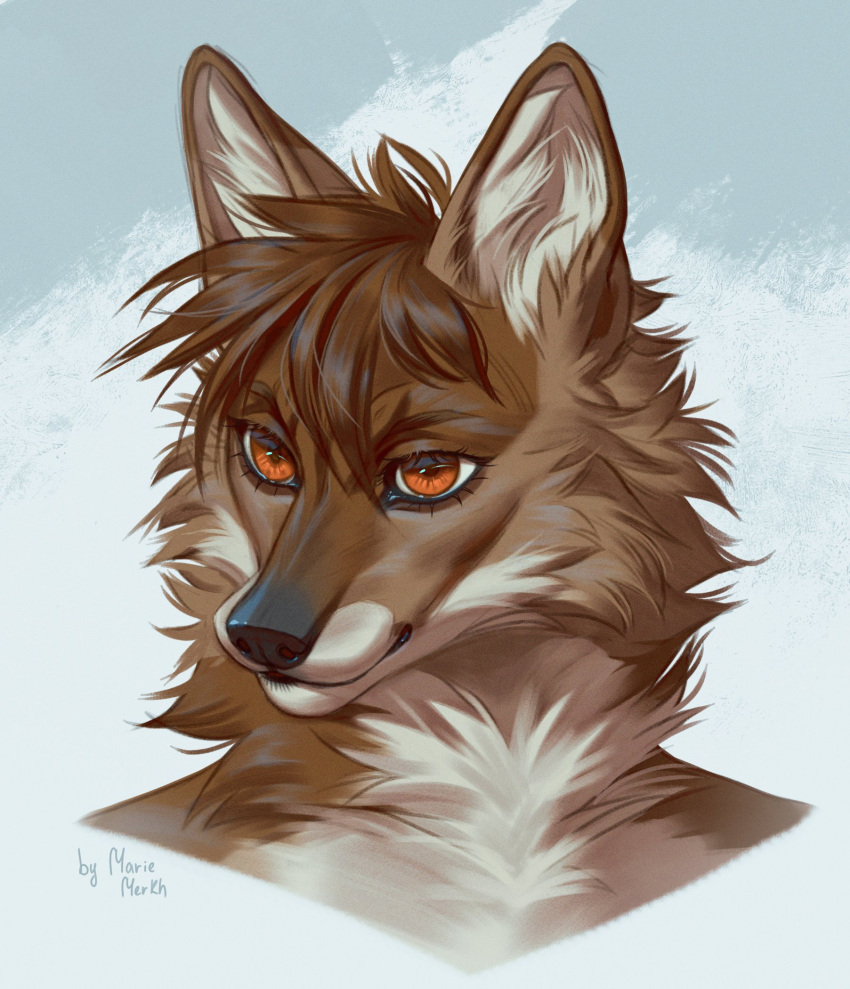 ambiguous_gender anthro black_nose brown_body brown_fur brown_hair bust_portrait canid cheek_tuft facial_tuft fur glistening glistening_eyes hair hi_res inner_ear_fluff mammal marie_merkh messy_hair mouth_closed multicolored_body multicolored_fur neck_tuft orange_eyes portrait short_hair signature simple_background solo tuft two_tone_body two_tone_fur white_body white_fur white_inner_ear_fluff
