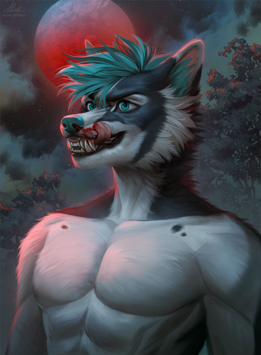 abs absurd_res anthro artist_name black_eyebrows blood blood_moon blood_on_face blue_eyes blue_hair bodily_fluids bust_portrait canid cheek_tuft cloud eyebrows eyelashes facial_tuft fangs fur glistening glistening_eyes grey_body grey_fur hair hi_res licking licking_lips licking_own_lips male mammal marie_merkh neck_tuft nosebleed nude open_mouth outside pecs plant portrait signature solo star teeth tongue tongue_out tree tuft white_body white_fur