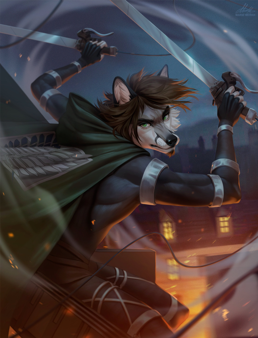 absurd_res anthro artist_name black_body black_ears black_eyebrows black_fur black_nose brown_hair eyebrows facial_hair fur glistening glistening_eyes goatee green_cape green_eyes grey_body grey_fur hair hi_res holding_object holding_sword holding_weapon male marie_merkh melee_weapon mouth_closed outside signature solo sword weapon white_body white_fur
