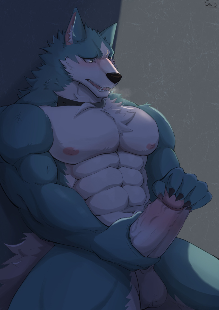 abs absurd_res anthro balls big_muscles big_penis blue_body blue_fur blush brand_new_animal canid canine canis chest_tuft claws collar collar_only countershade_face countershade_legs countershade_thighs countershade_torso countershading deltoids erection fur genitals guoguo104 hand_on_own_penis hi_res humanoid_genitalia humanoid_penis inner_ear_fluff male mammal masturbation multicolored_body multicolored_fur muscular muscular_anthro muscular_male nipples nude nude_male parted_lips pecs penile penile_masturbation penis pink_nipples shirou_ogami signature solo studio_trigger tuft two_tone_body two_tone_fur white_body white_fur wolf