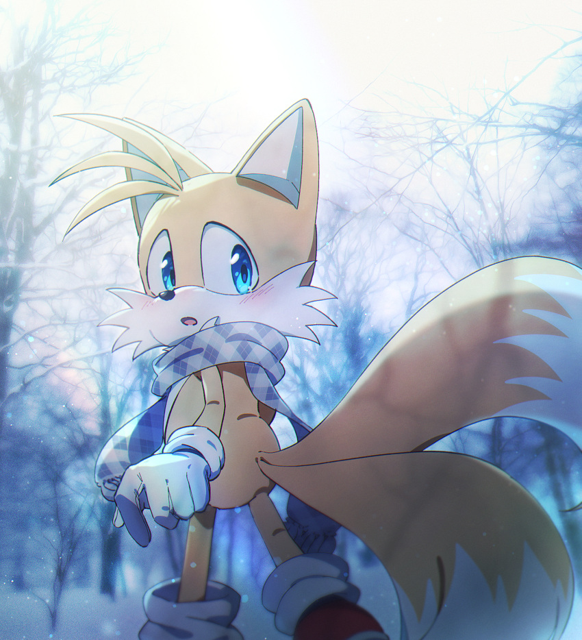 1boy animal_ears animal_nose banri_0917 bare_tree blue_eyes blue_scrunchie blush commentary_request fox_boy fox_ears fox_tail furry furry_male gloves highres korean_commentary looking_back male_focus multiple_tails open_mouth outdoors red_footwear scarf scrunchie shoes solo sonic_(series) standing tail tails_(sonic) tree two_tails white_gloves winter