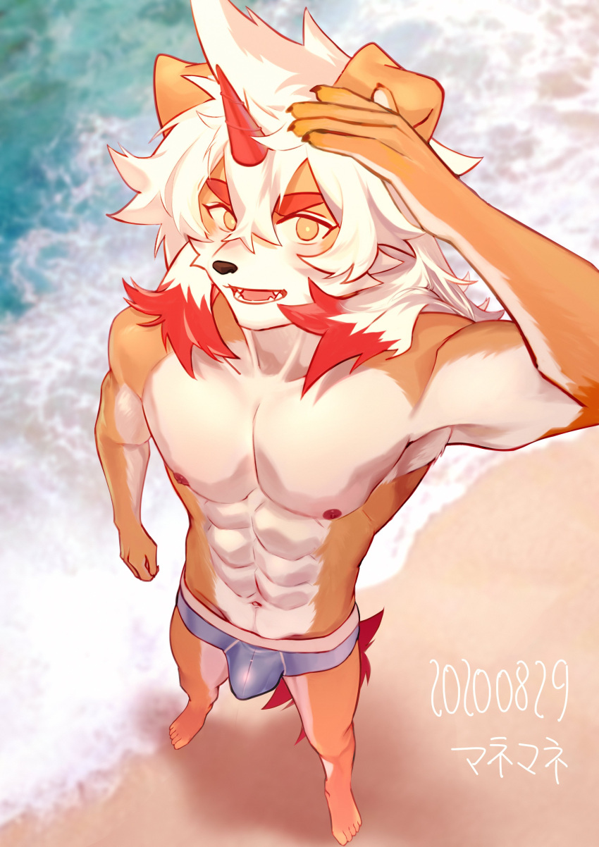 2020 absurd_res anthro areola arknights athletic athletic_anthro athletic_male beach black_nose bulge canid canine canis clothing domestic_dog feet fur hair hi_res horn humanoid_feet hung_(arknights) hypergryph looking_at_viewer male mammal multicolored_body multicolored_fur multicolored_hair muscular muscular_anthro muscular_male omedemidori plantigrade red_hair red_horn sand sea seaside solo studio_montagne swimwear tan_body tan_fur two_tone_body two_tone_fur two_tone_hair water white_body white_fur white_hair