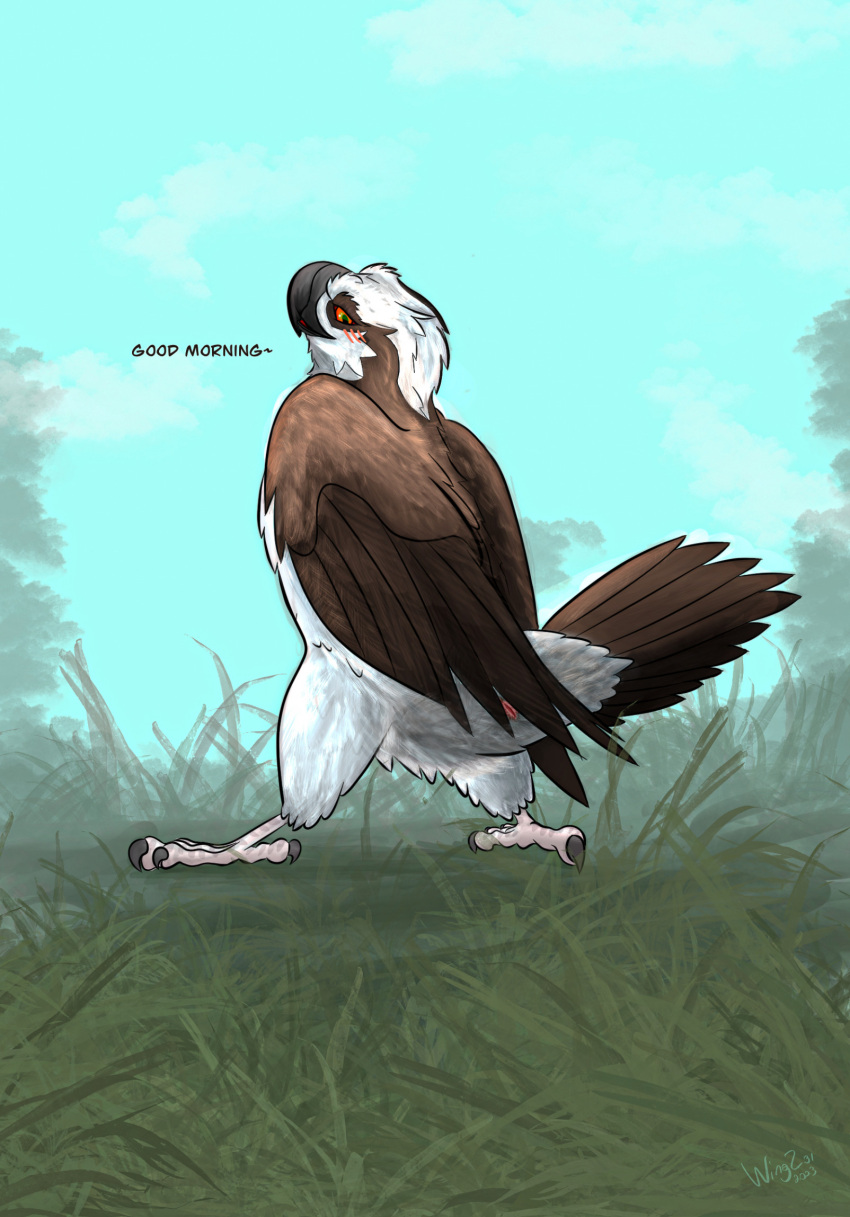 2023 accipitriform ambiguous_gender animal_genitalia avian bird brown_body brown_feathers cloaca english_text feathers feral genitals hi_res osprey presenting presenting_cloaca solo text white_body white_feathers wingz31