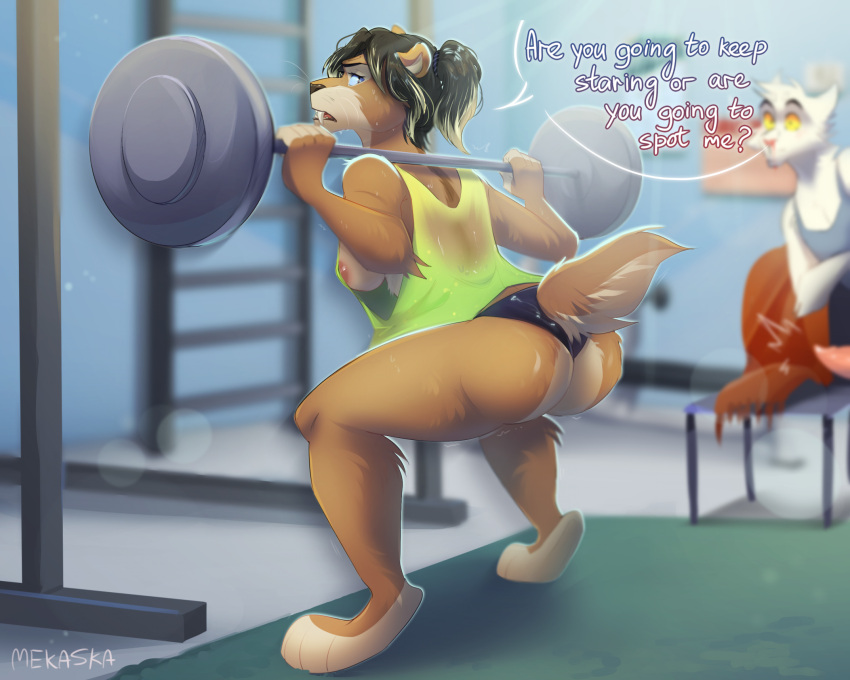 anthro aroused barbell bodily_fluids bottomwear breasts butt chair clothed clothing crouching dialogue domestic_cat erection exercise fangs felid feline felis female female_focus fur furniture gym hair hi_res hotpants lion looking_back male mammal mekaska nipple_slip nude pantherine ponytail sabertooth_(anatomy) shirt short_tail shorts side_boob solo solo_focus squats sweat tail tan_body tan_fur tank_top teeth topless topwear voyeur weightlifting weights white_body white_fur workout